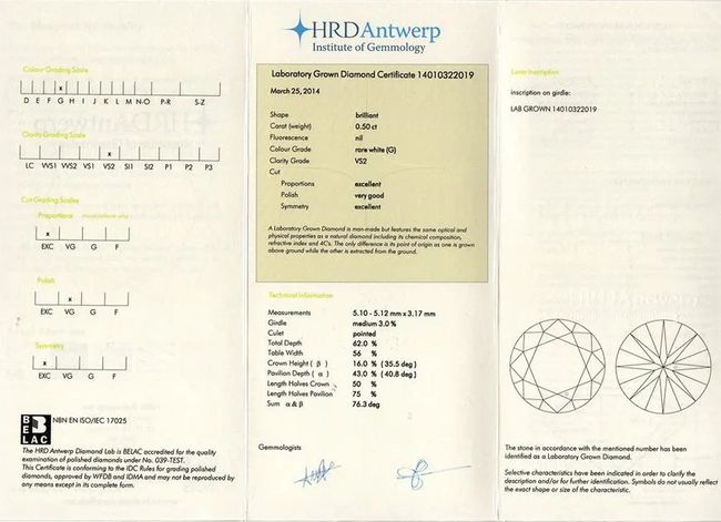 HRD安特衛(wèi)普